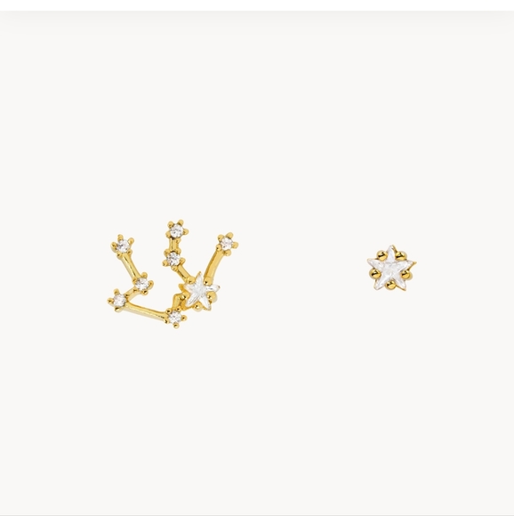 AQUARIUS Gold Dipped CZ Stud Zodiac Earrings Trendy - Picture 2 of 3